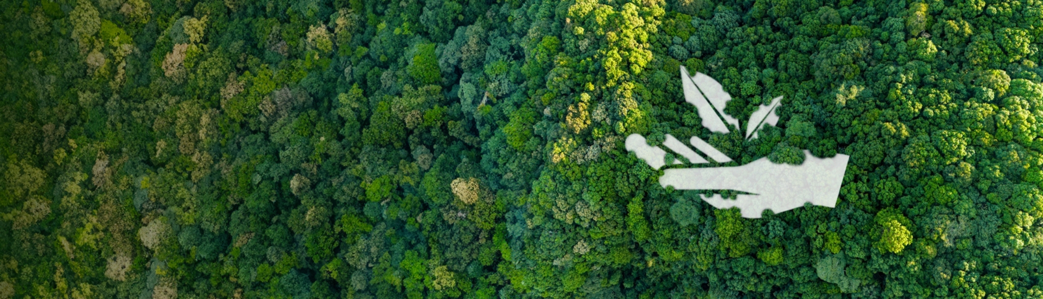 Performance and Reporting