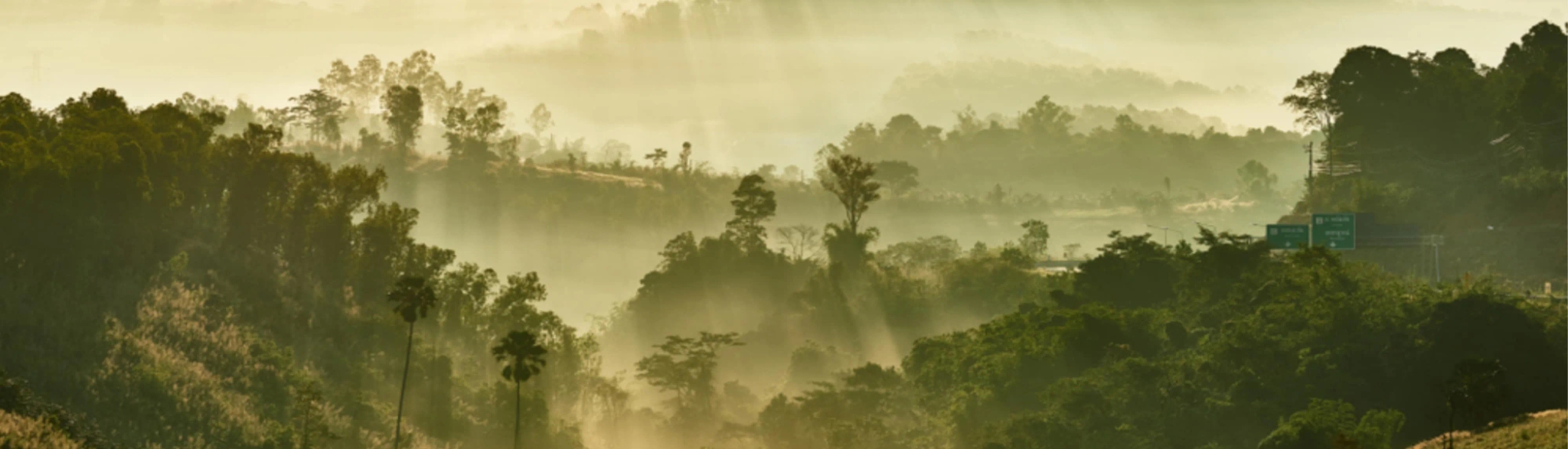 Performance and Reporting