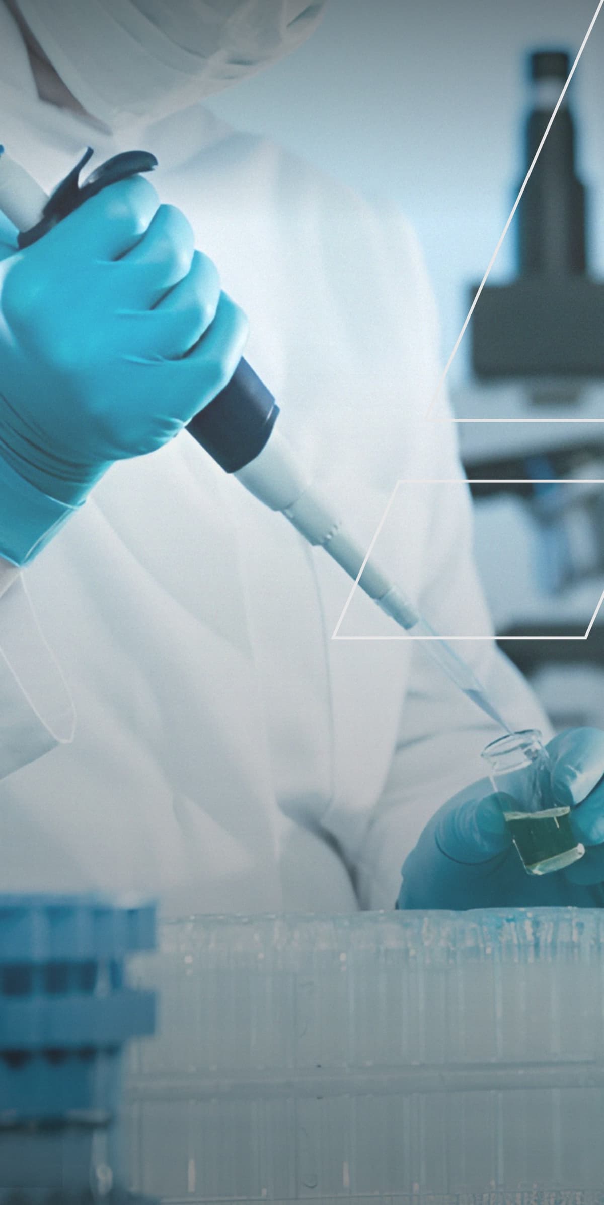 Grounded in Sustainability for a Better Planet