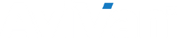 AviVan™