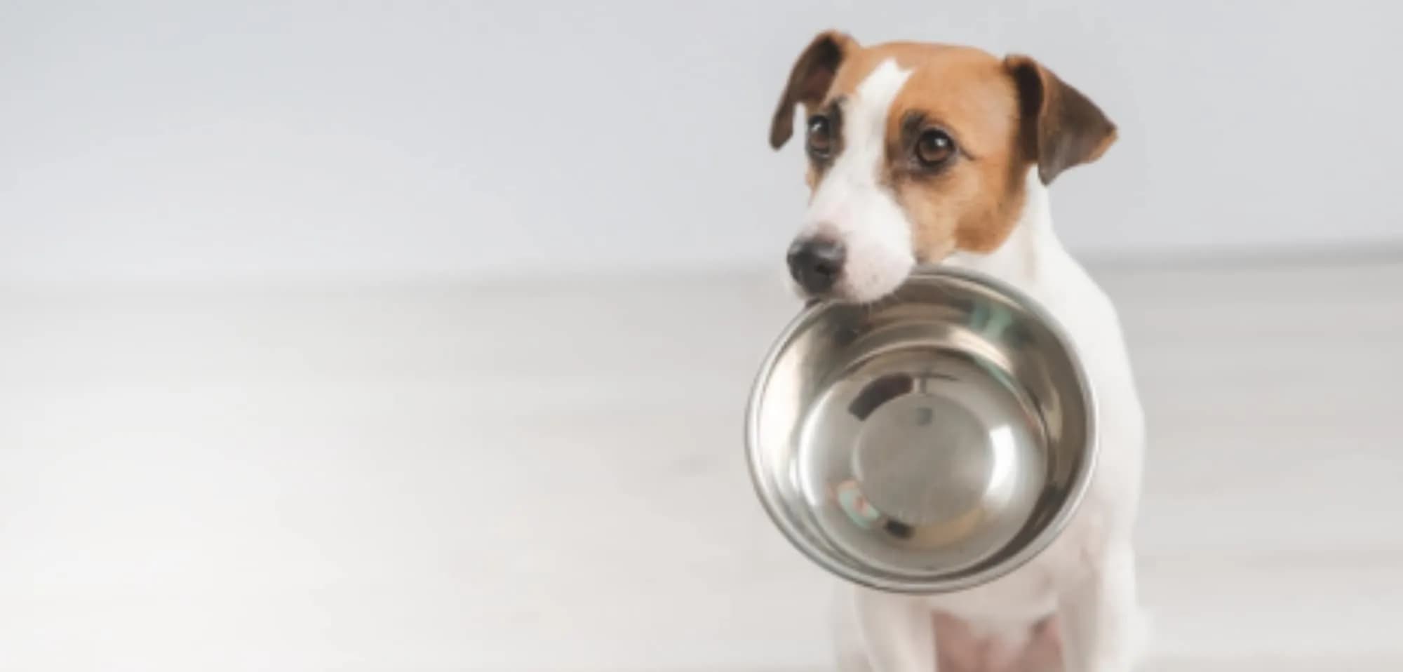 avigly hp product image