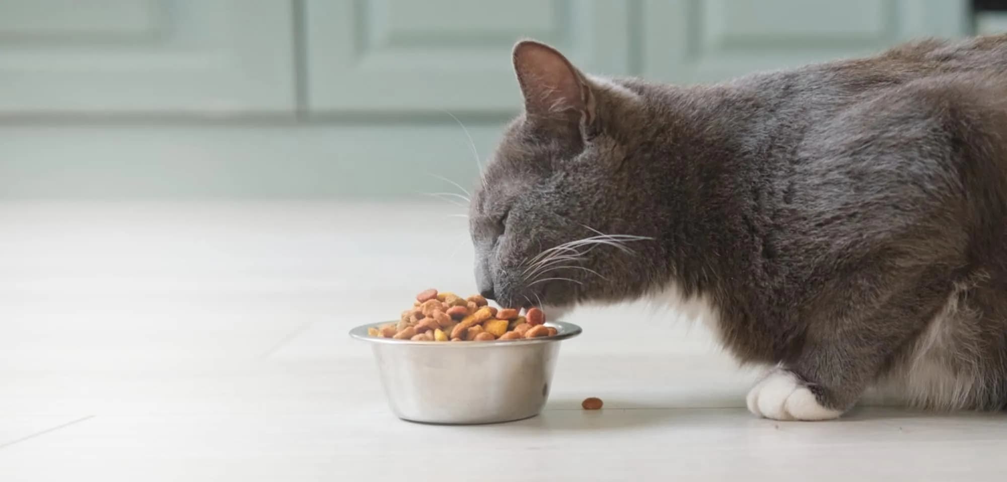 avitau product image