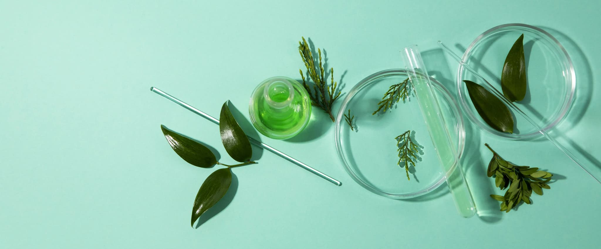 Bio-Based Ingredients