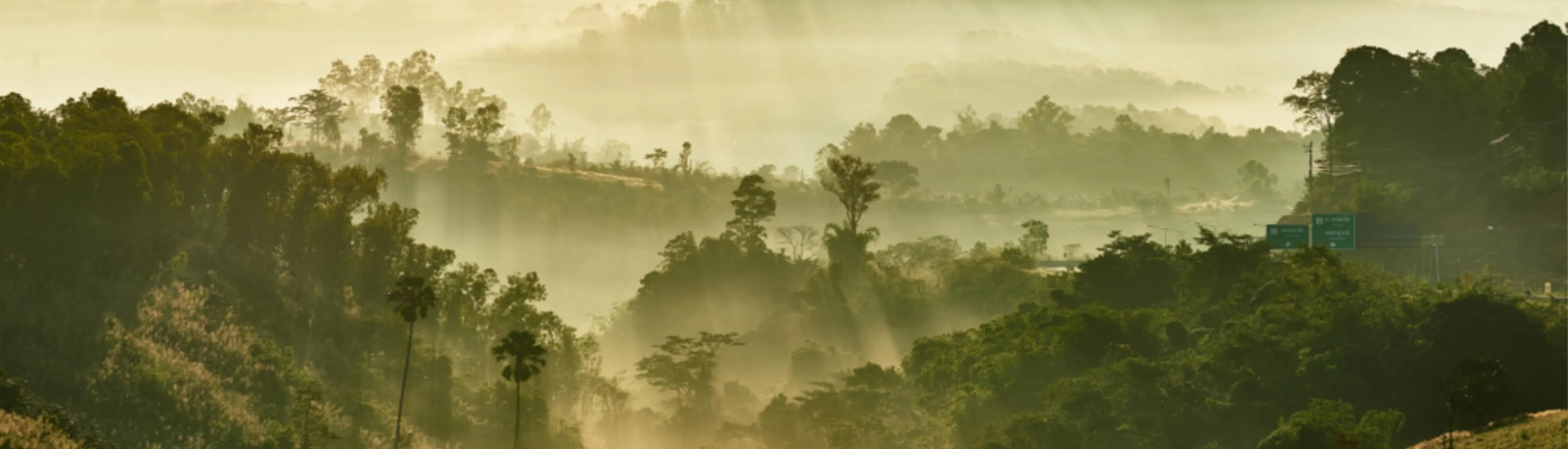 Performance and Reporting