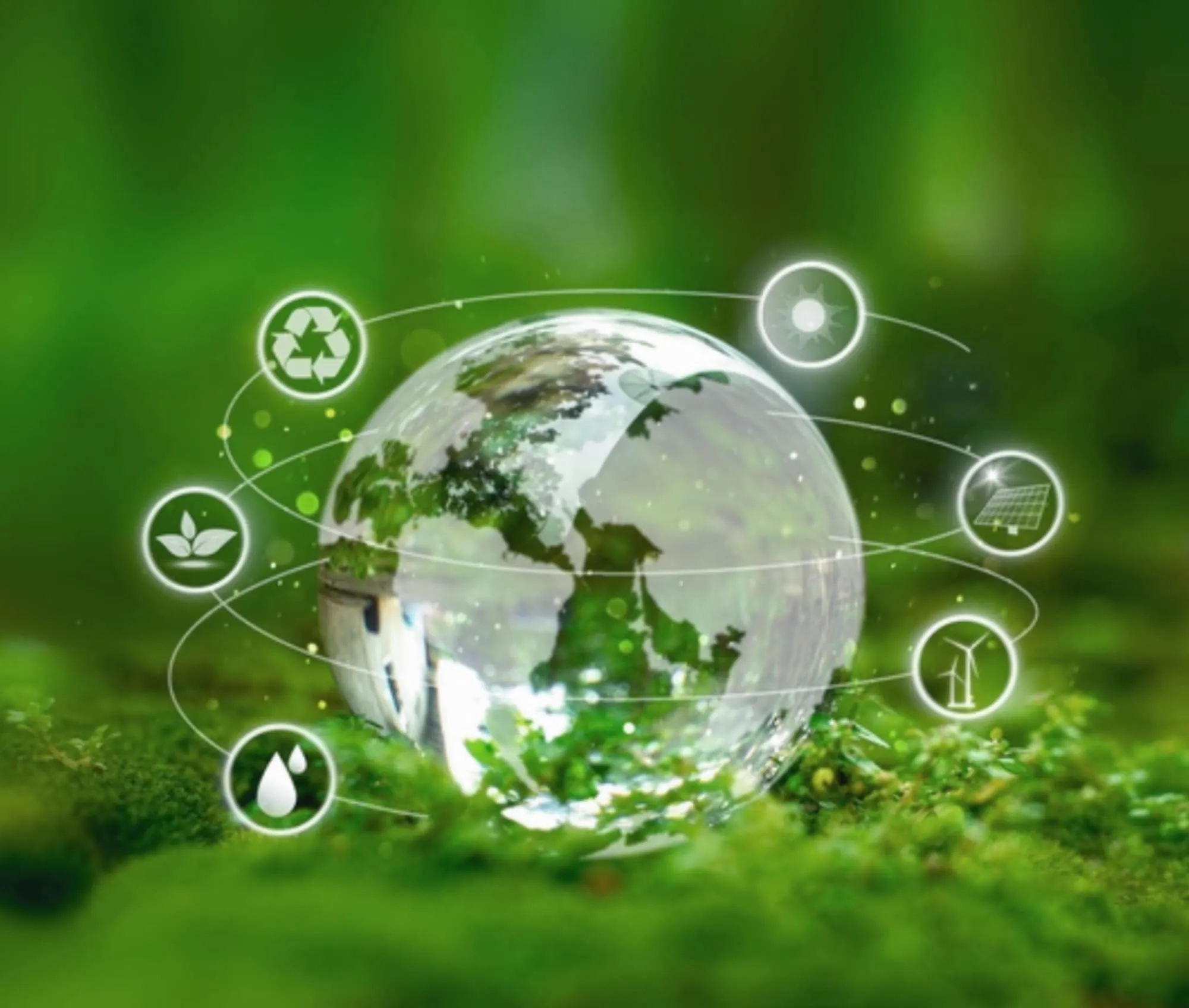 Renewable Energy Operations